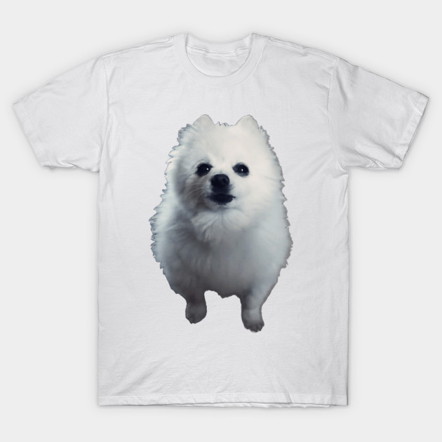 gabe the dog shirt gabe the dog shirt